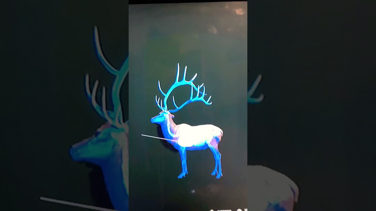 GAINT DIAMOND 💎 ROCKY MOUNTAIN ELK ON SILVER RIDGE PEAKS CALL OF THE WILD