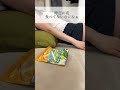 欲がなくなった夏　#vlog #正社員 #一人暮らし #独身ol #shorts #運動嫌い