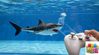 ByteX Remote Control Shark Toy