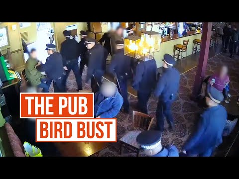 SPECIAL OPS: CRIME SQUAD UK - ILLEGALLY SELLING EXOTIC BIRDS - FROM A LONDON PUB?!