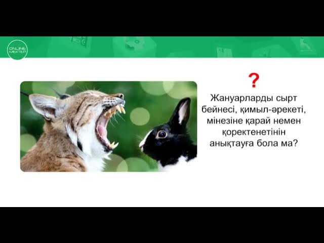 Порно машинада жүру