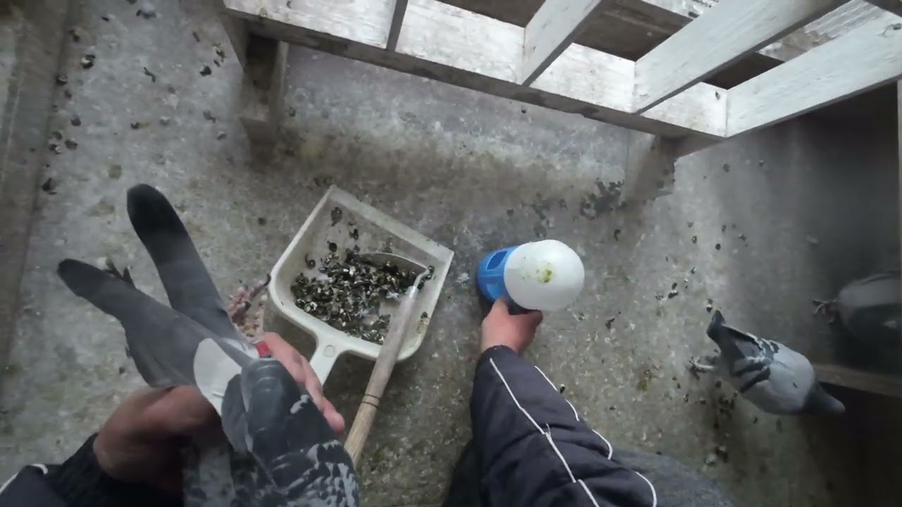 矢板１００k持ち寄り日