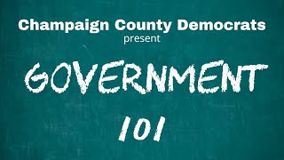 2021 Consolidated Primary - Gov 101