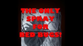 BEST BEDBUG SPRAY! and how to apply it. Label advice