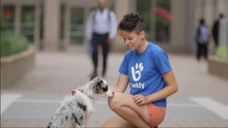 Barkly On Demand Dog Walkers: Outstanding Community Job Creator | SCORE