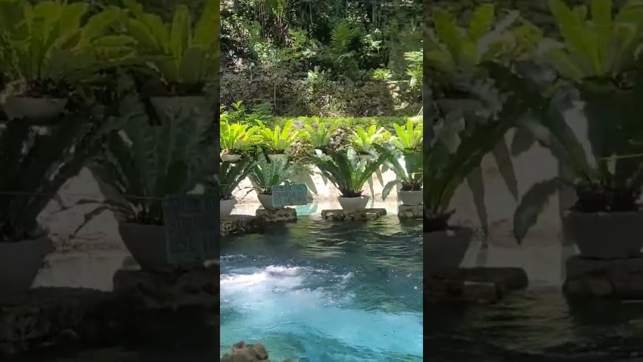 It's a beautiful life! 🌤 