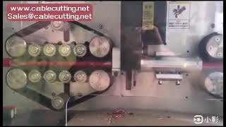 150mm2 fully automatic super thick cable wire cutting and stripping machine