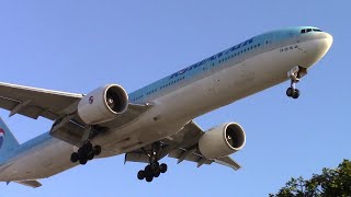 Korean Air Boeing 777300er hl8210 Landing At Lax