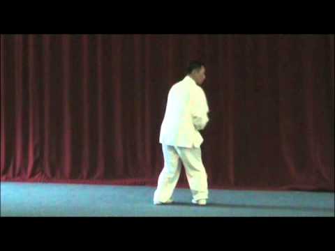 XingYi 5 Elements Splitting Fist -Master Shao Zhao Ming