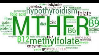 Mthfr gene mutation  homozygous c677t treatment supplement pregnancy prenatal