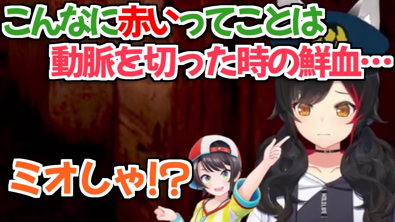【ホロライブ切り抜き】やたらに血液に詳しいミオしゃに驚いたスバルちゃん【大神ミオ/大空スバル】