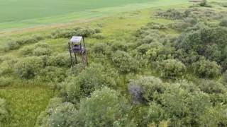 Fabry Farm Great Grandmas