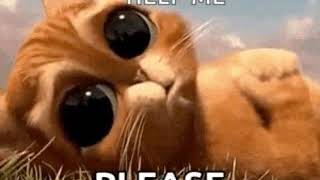 Comedy bet gif(6)