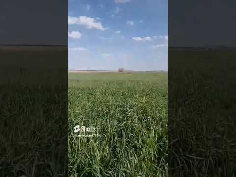 لاحل النبي للمرحوم محمد الكحلاوي قضلا آشترك و اعجاب مع نشر المحتوى