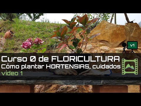 🌹 Cómo Plantar y Cultivar 🌷 FLORES y árboles 🌲 ORNAMENTALES [Curso básico de FLORICULTURA].