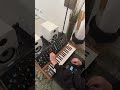 Poly D arpeggio melody Says by Nils Frahm #polyd #behringer #arpeggio #nilsfrahm #synth #analog