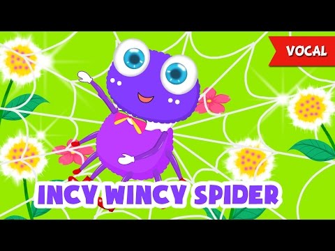Video Nhac Thieu Nhi Cho Be Yeu - Incy Wincy Spider - Học... - YouTube