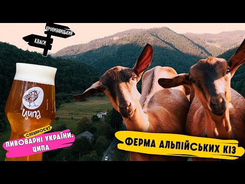 Ферма альпійських кіз і броварня Ципа / Дослідження українського крафту / CraftRoadShow / серія 14