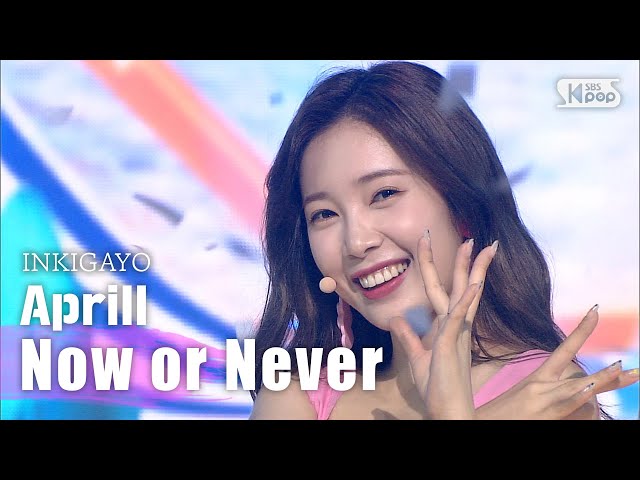 Aprill(에이프릴) - Now or Never @인기가요 inkigayo 20200816