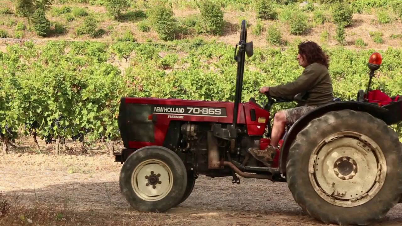 Une année au Domaine du Bagnol