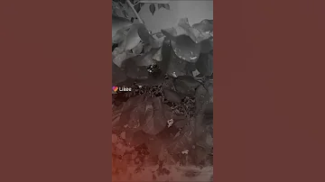 Https L Likee Video V GKIETh 