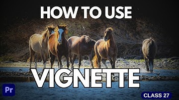 How To Use The Vignette Tool in Adobe Premiere Pro | Class 27