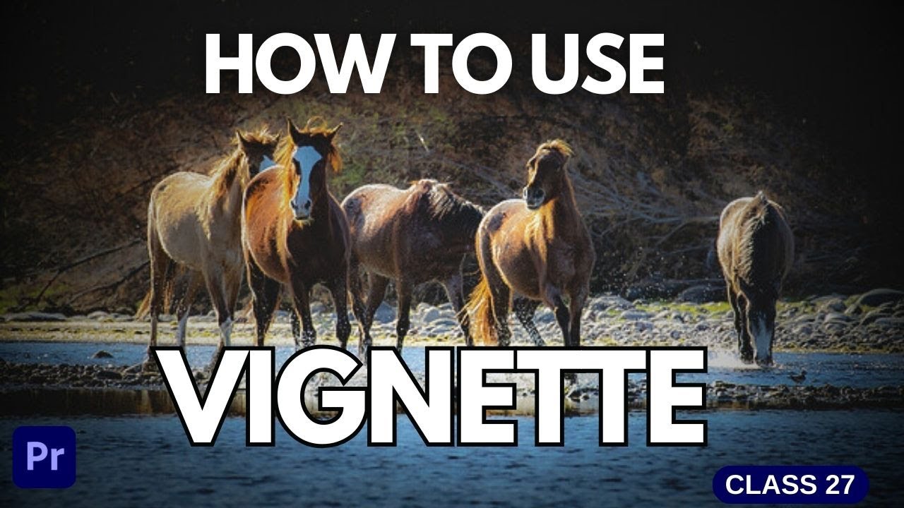 How To Use The Vignette Tool in Adobe Premiere Pro | Class 27