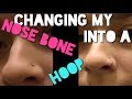 Changing my nose piercing into a hoop!