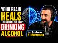 🔥🧠 YOUR BRAIN HEALS THE MOMENT YOU STOP DRINKING ALCOHOL💪🔥 | Andrew Huberman