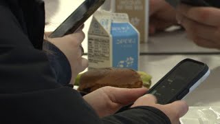 Hochul proposes school cellphone ban in $252B state budget