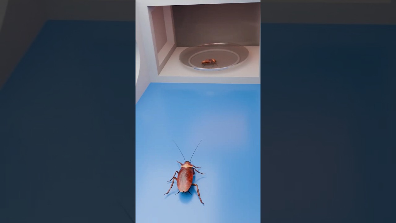 Can a Cockroach survive Microwave? 🪳