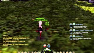 Dragon Nest Mod Showcase
