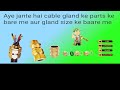 Cable gland parts name Cable gland parts name gland size