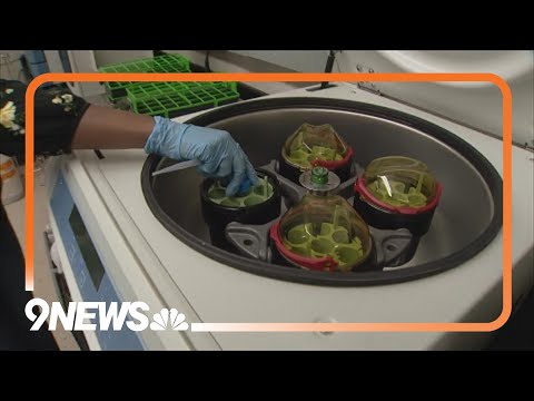 Scientists studying   impacts of microplastics found in snow