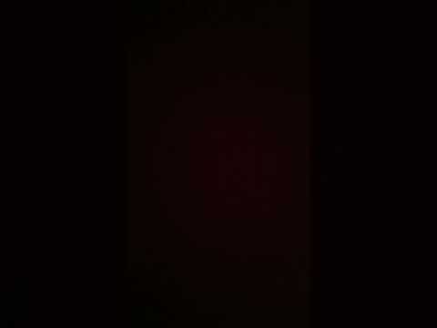 28 января 2025 г.