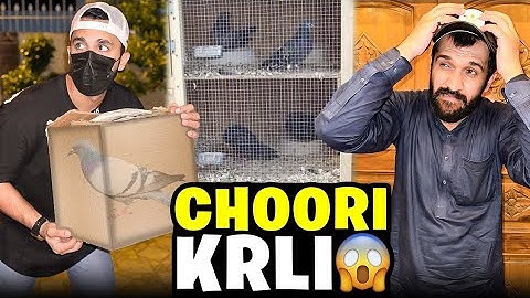 rajab butt 😰 🙏 new vlog|chori kr le😯 and maan dogar ka kabootar chori ho ga #rajab #family #vlog