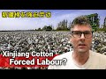 Xinjiang Cotton Forced Labour Regime // 新疆棉花强迫劳动政权