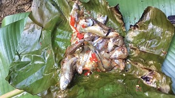 Cá suối nướng lá chuối thơm ngon hương vị núi rừng