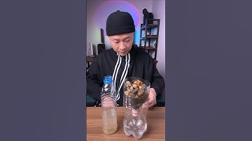 Part 2 : Lọc nước bằng Than + Cát + Sỏi ?? #giaitri #hacks #dthacks92#khoahoc #tips #lifehacks