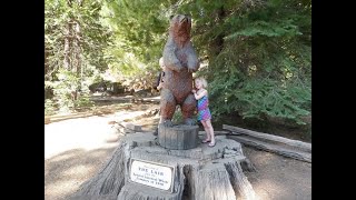 Lair Application Video 2026