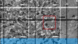 FC111A62AB99541EF9E00DECBA4321#1