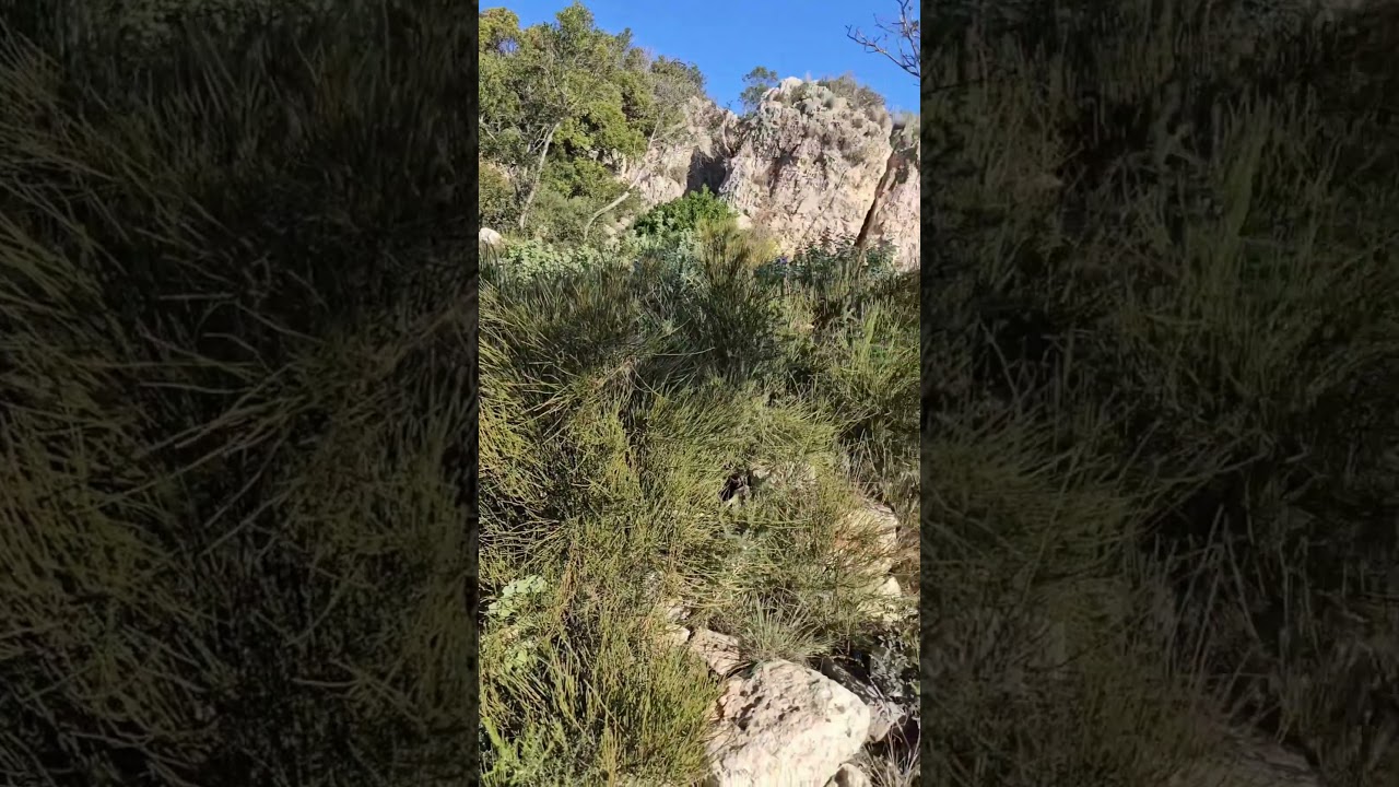 Sa Morisca Trail Views: Mallorca's Most Stunning Coastal Hike 