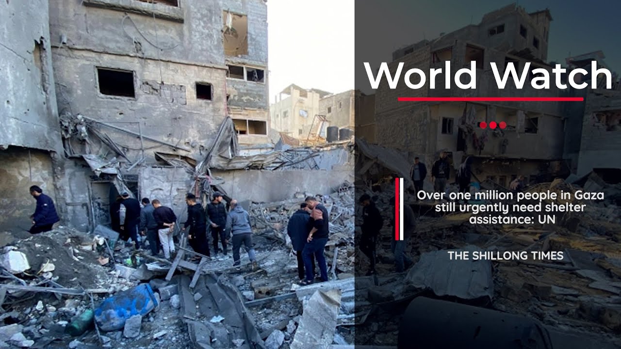 Over one million people in Gaza still urgently need shelter assistance: UN