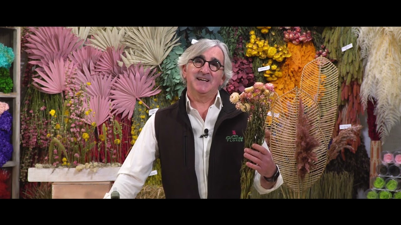 Composiciones con flores secas 💐