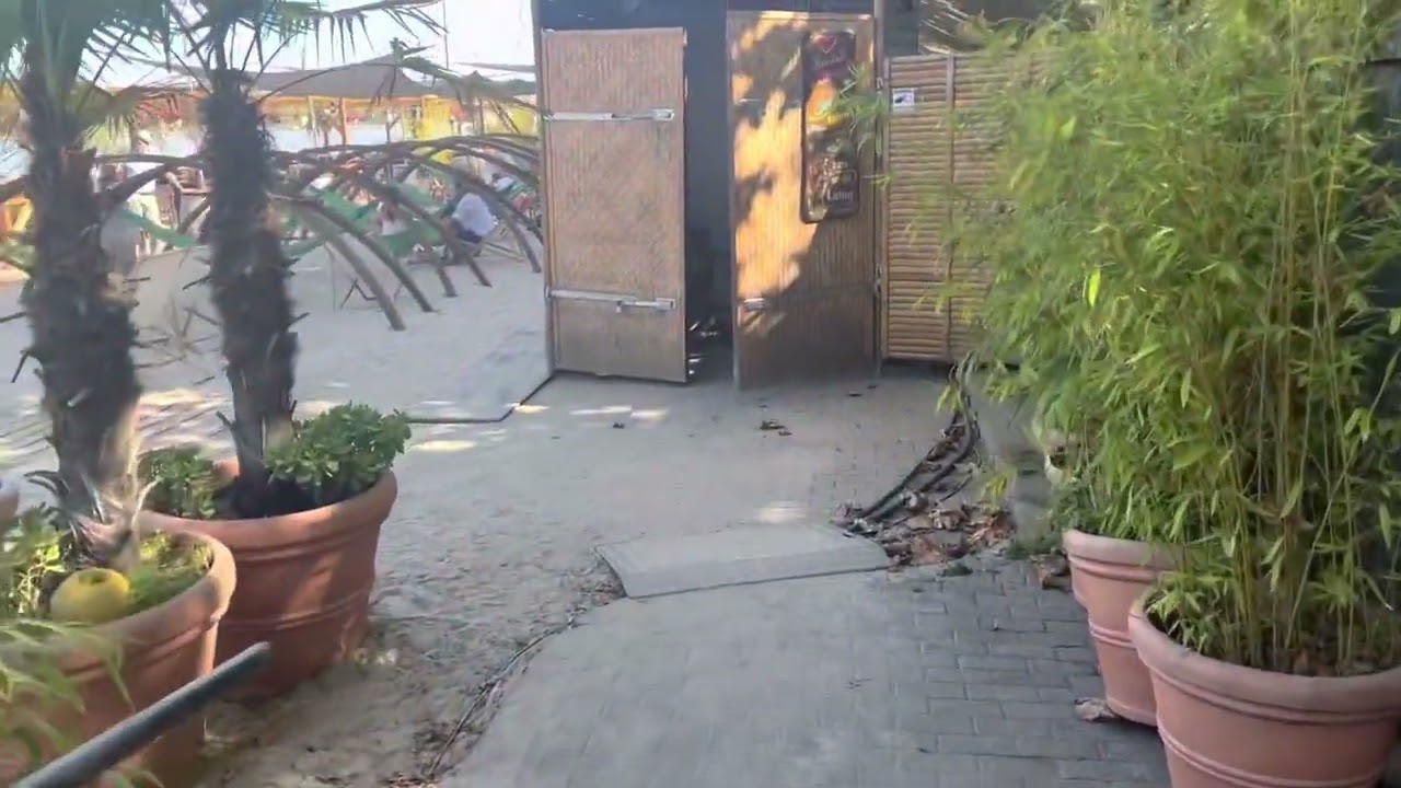 Flight Attendant Life Frankfurt Vlog! First international wide body flights✈️