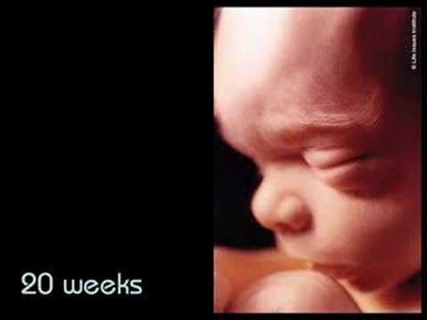 Pro-life Anti-Abortion Video: Development of the Unborn Baby