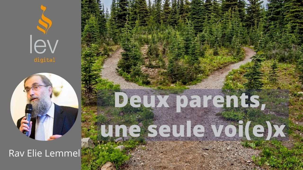 Éducation: Deux parents, Une seule voi(e)x? - Partie 2: Questions - Rav Elie Lemmel