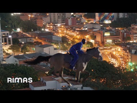 BAD BUNNY - PERRO NEGRO (Visualizer) | nadie sabe lo que va a pasar mañana