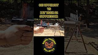 ​How Quiet is CCI Uppercut? (B&amp;T Tiger 22 Test) 🤫