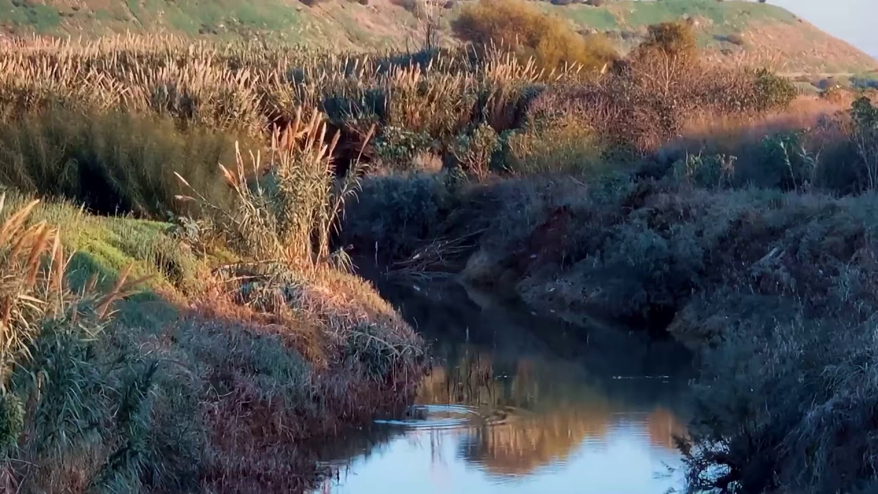 Project Hue: Survivor - Joe: Community stories told through art 